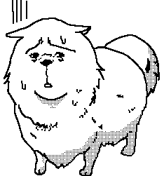 :underdog: :underdog: